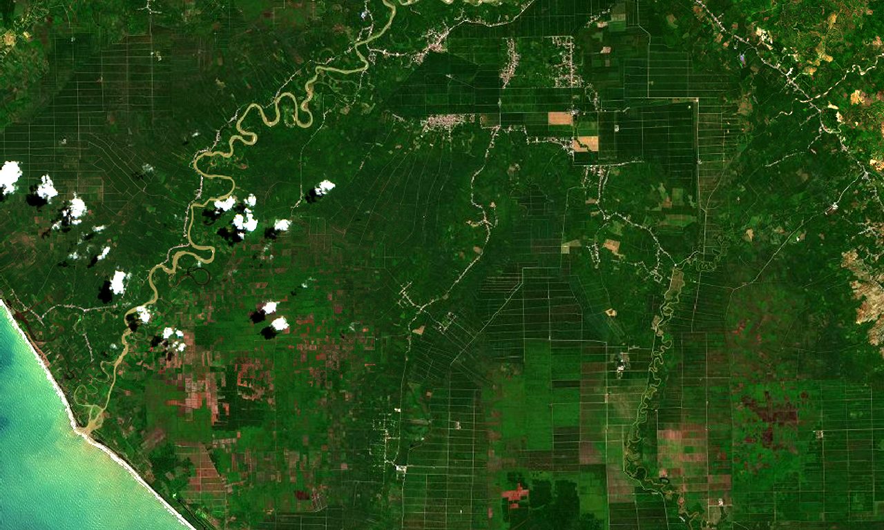 Kanal & petak kebun menggantikan hutan rawa di pesisir barat Aceh — Sentinel-2, 2025
